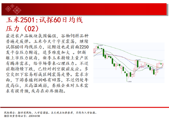 中天期货:螺纹向上反弹 低位震荡